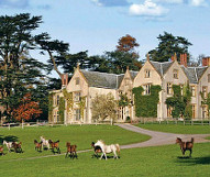 Combe House - Devon featured venue thumbnail
